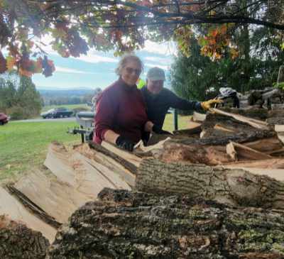wood pile with volunteers